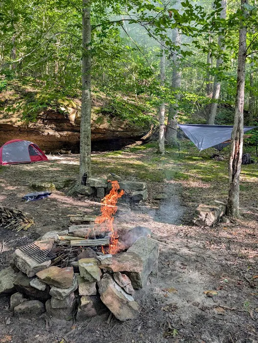Johnson Homeplace Backcountry Campsite 2