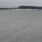 Swenson County Park at Current Lake