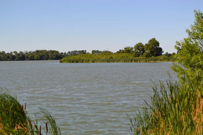 Swenson County Park at Current Lake 8