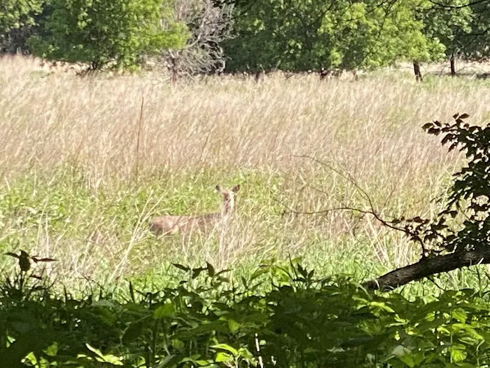 Oak Grove County Park (with State Lands) 5