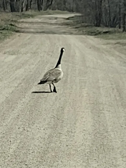 Big Sioux Rec Area Campground 4