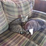 Westlake Mobile Home Park