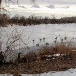 Victory Lake Campground