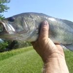 Maskenthine Lake Recreation Area