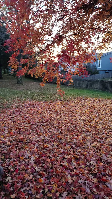 Meadowbrook Estates 4