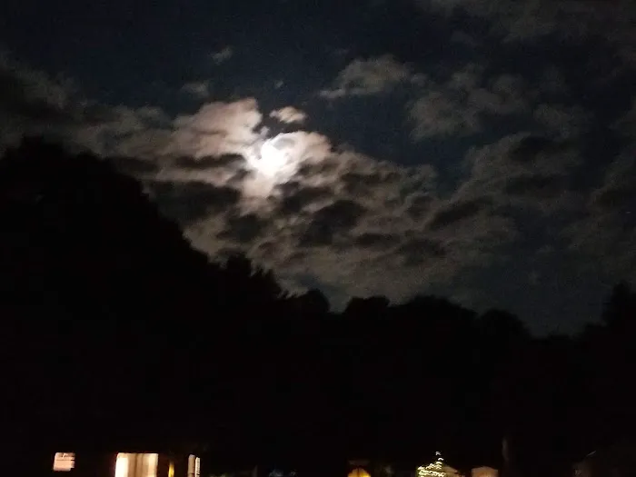El Rancho Alanson RV Resort 3