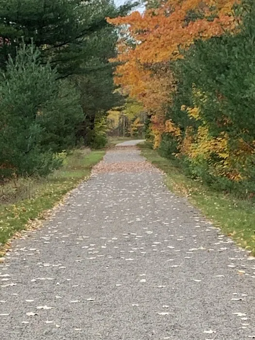 Alanson Trailer Park 6