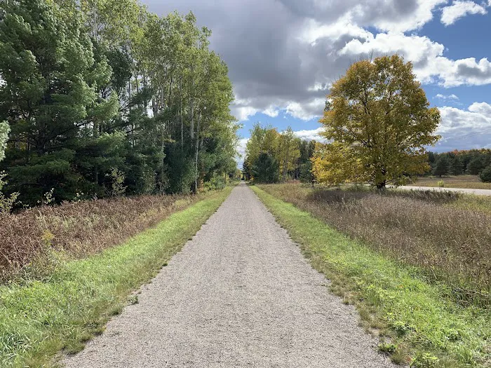 Alanson Trailer Park 8