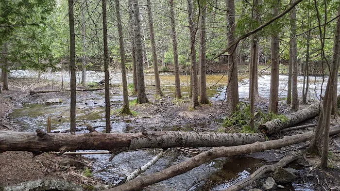 Ocqueoc Falls Campground 2
