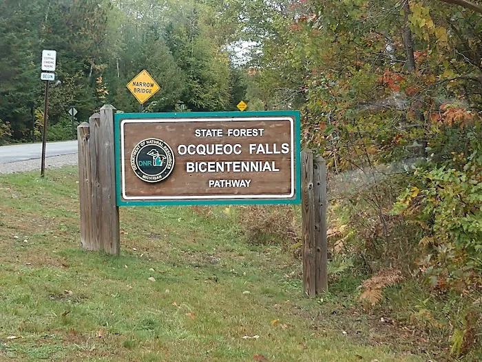 Ocqueoc Falls Campground 5