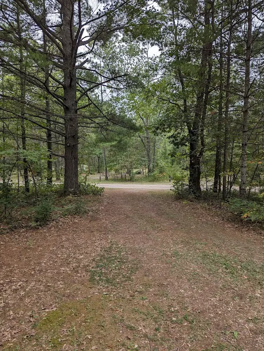 Shoepac Lake State Forest Campground 10