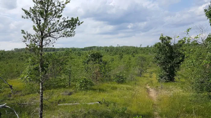 Tomahawk Lake State Forest Campground 5