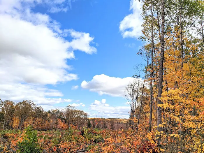 Tomahawk Lake State Forest Campground 3