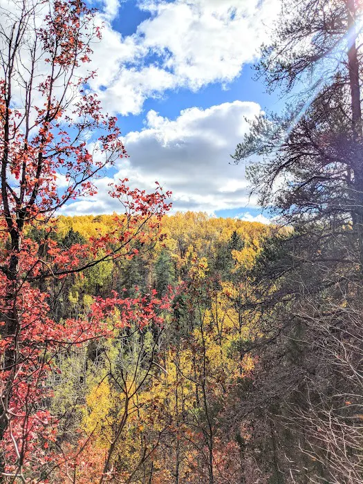 Tomahawk Lake State Forest Campground 9