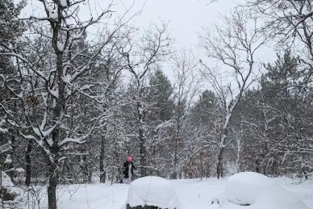 Tomahawk Lake State Forest Campground
