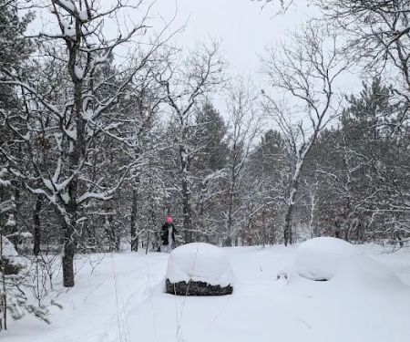 Tomahawk Lake State Forest Campground