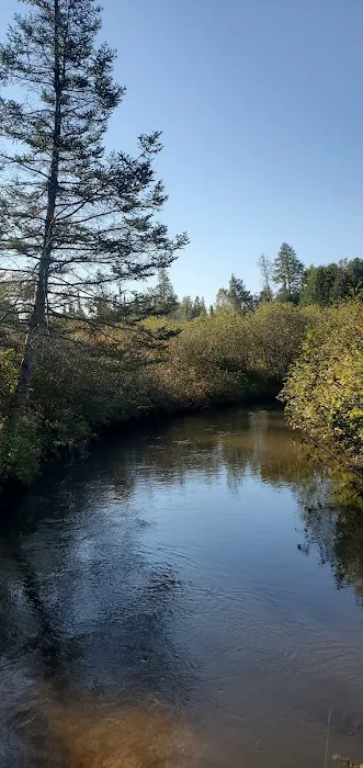 Pine Grove State Forest Campground 4