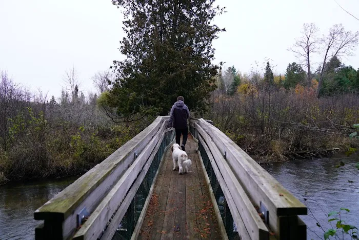 Pine Grove State Forest Campground 9