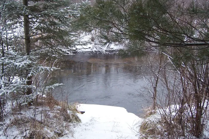 Pine Grove State Forest Campground 5
