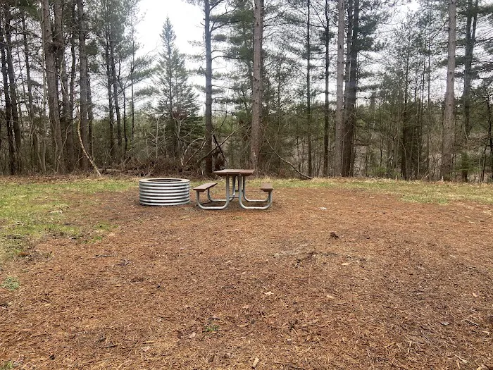 Pine Grove State Forest Campground 10