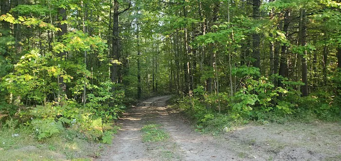 Pine Grove State Forest Campground 2