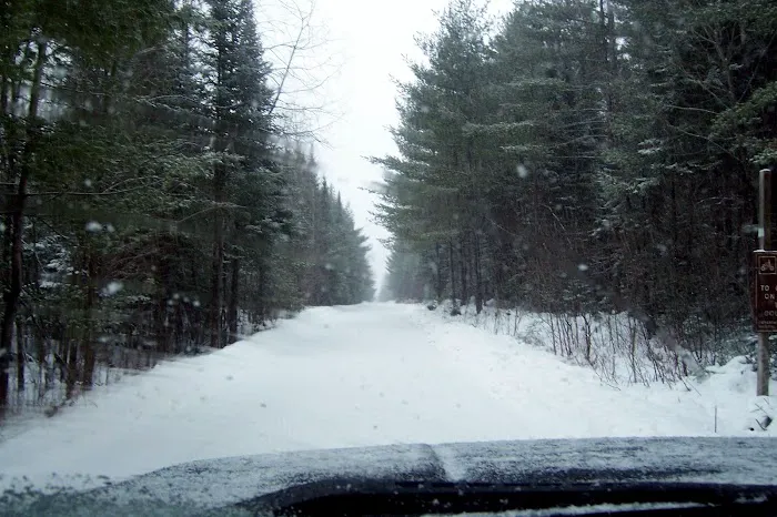 Pine Grove State Forest Campground 8
