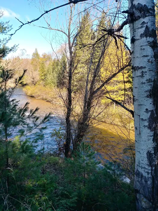 Haakwood State Forest Campground 5