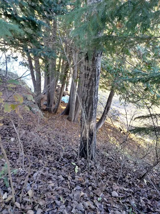Haakwood State Forest Campground 7
