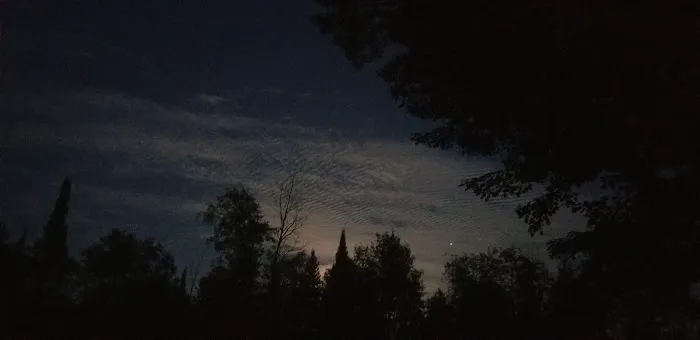 Haakwood State Forest Campground 2