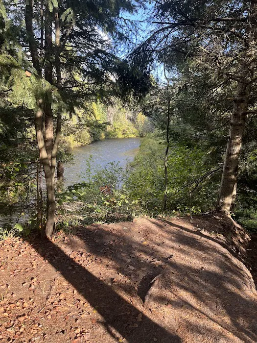 Haakwood State Forest Campground 9