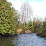 Haakwood State Forest Campground