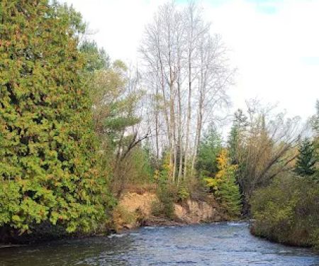 Haakwood State Forest Campground
