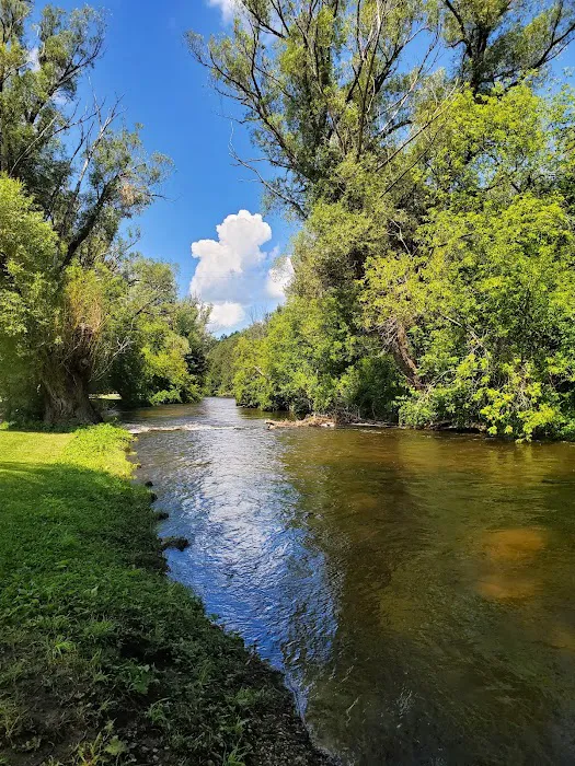 Sturgeon River Campground 10