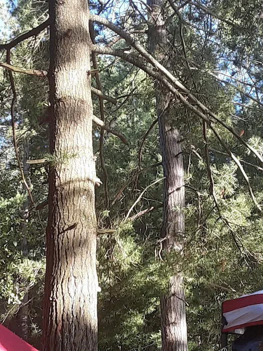 Weber Lake State Forest Campground 8
