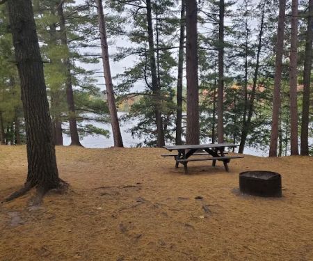 Weber Lake State Forest Campground