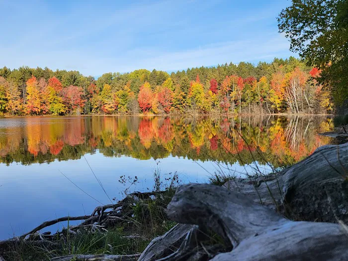 Weber Lake State Forest Campground 5