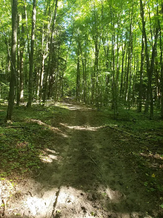 Elk Hill Equestrian State Forest Campground and Trail Camp 2
