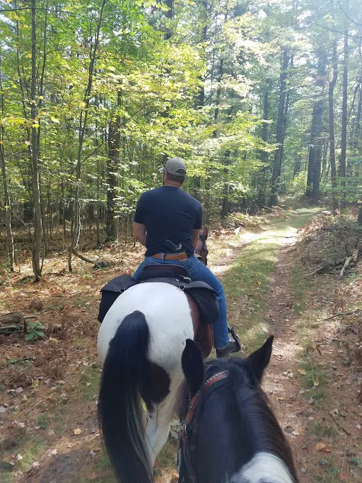 Elk Hill Equestrian State Forest Campground and Trail Camp 4