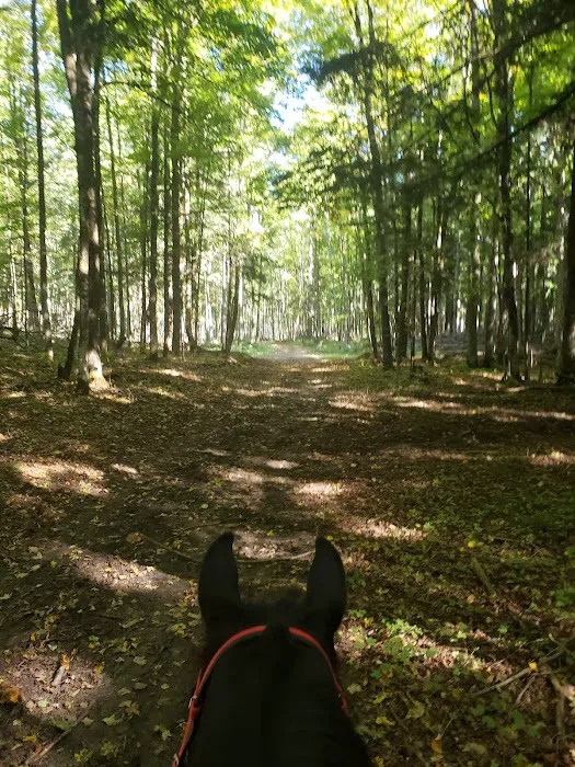 Elk Hill Equestrian State Forest Campground and Trail Camp 1