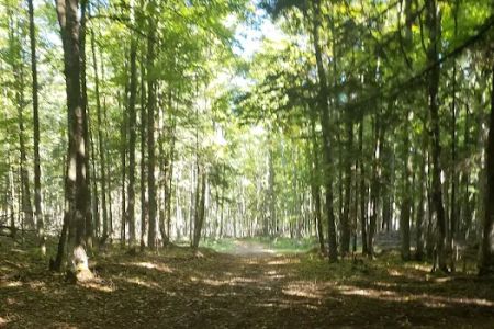 Elk Hill Equestrian State Forest Campground and Trail Camp