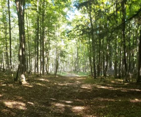 Elk Hill Equestrian State Forest Campground and Trail Camp