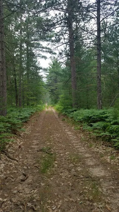 Elk Hill Equestrian State Forest Campground and Trail Camp 6