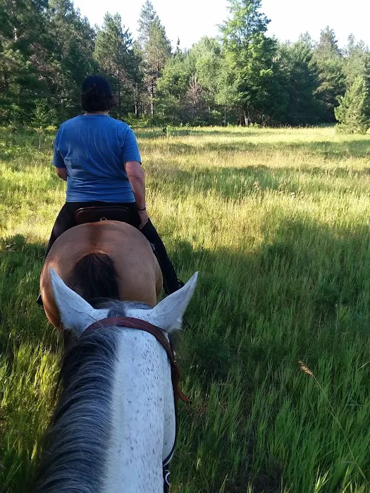 Elk Hill Equestrian State Forest Campground and Trail Camp 10
