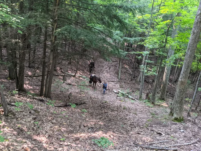 Elk Hill Group Equestrian Campground 8