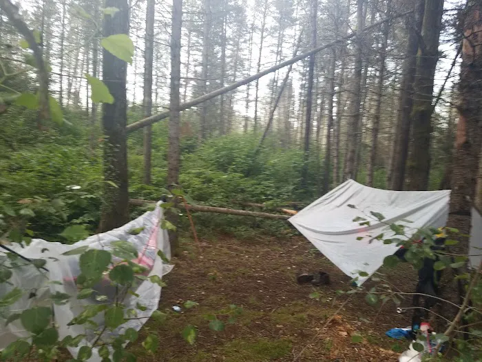 Sucker River Camp 1