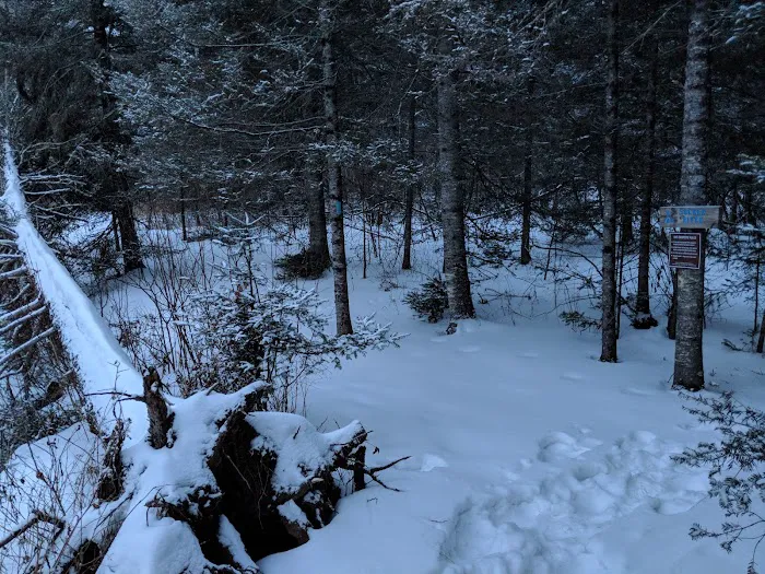 Sucker River Camp 4