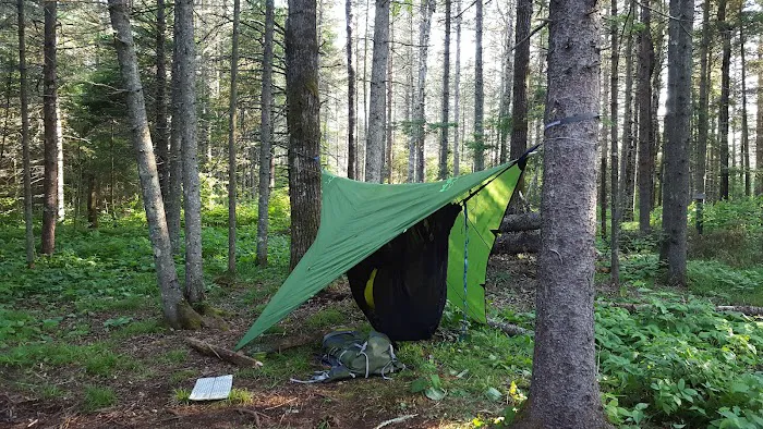 Sucker River Camp 8