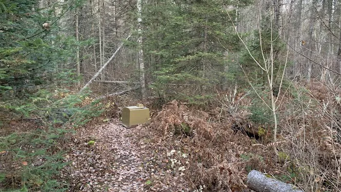 Sucker River Camp 7