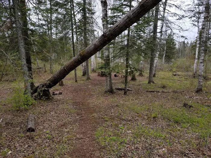 Fox Farm Pond Camp 4