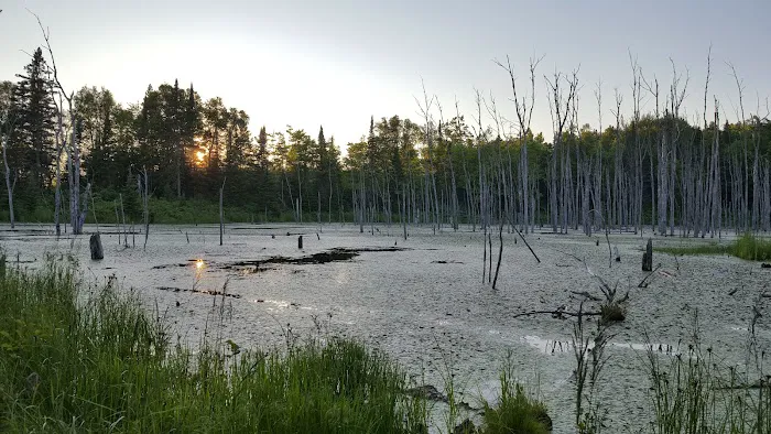 Fox Farm Pond Camp 9